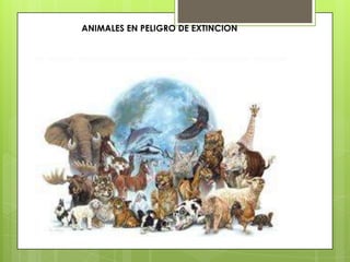 ANIMALES EN PELIGRO DE EXTINCION
 