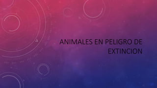 ANIMALES EN PELIGRO DE
EXTINCION
 