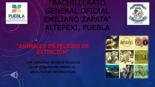 “BACHILLERATO
GENERAL OFICIAL
EMILIANO ZAPATA”
ALTEPEXI, PUEBLA
“ANIMALES EN PELIGRO DE
EXTINCIÓN”
LUIS FERNANDO NEGRETE PALACIOS
CUARTO SEMESTRE GRUPO “D”
APLICACIONES INFORMÁTICAS
 