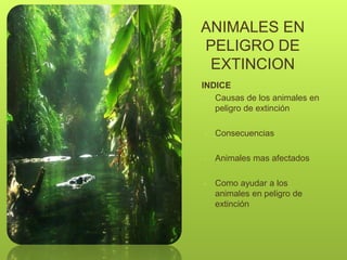 ANIMALES EN
PELIGRO DE
EXTINCION
INDICE
- Causas de los animales en
peligro de extinción
- Consecuencias
- Animales mas afectados
- Como ayudar a los
animales en peligro de
extinción
 