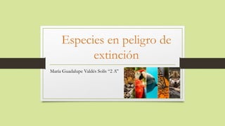 Especies en peligro de
extinción
María Guadalupe Valdés Solís “2 A”
 