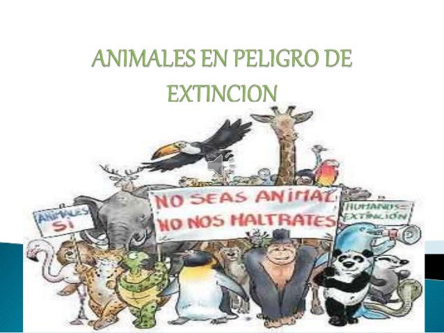 Animales en peligro de extincion. algo para reflexionar sobre el mundo