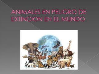 ANIMALES EN PELIGRO DE EXTINCION EN EL MUNDO 