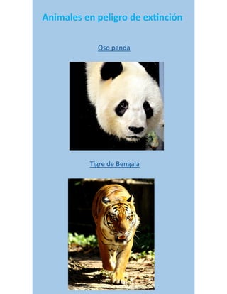 Animales en peligro de extinción
Tigre de Bengala
Oso panda
 