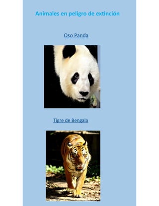 Animales en peligro de extinción
Tigre de Bengala
Oso Panda
 