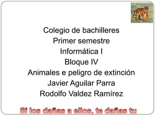 Colegio de bachilleres
Primer semestre
Informática I
Bloque IV
Animales e peligro de extinción
Javier Aguilar Parra
Rodolfo Valdez Ramírez

 