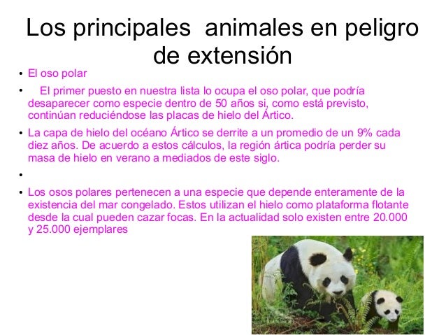 Animales en peligro de extinsion