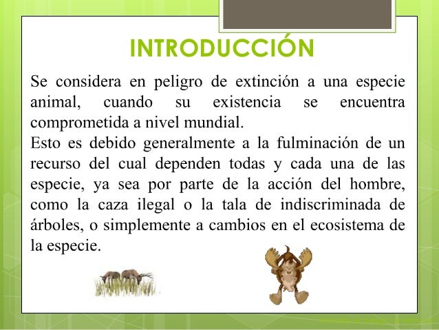 Animales en peligro ext