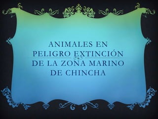 ANIMALES EN
PELIGRO EXTINCIÓN
DE LA ZONA MARINO
    DE CHINCHA
 