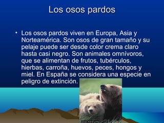 Los osos pardosLos osos pardos
• Los osos pardos viven en Europa, Asia y
Norteamérica. Son osos de gran tamaño y su
pelaje puede ser desde color crema claro
hasta casi negro. Son animales omnívoros,
que se alimentan de frutos, tubérculos,
hierbas, carroña, huevos, peces, hongos y
miel. En España se considera una especie en
peligro de extinción.
 