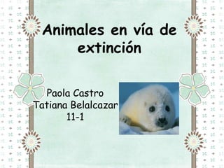 Animales en vía de
     extinción

   Paola Castro
Tatiana Belalcazar
       11-1
 