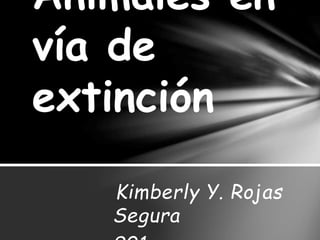Animales en 
vía de 
extinción 
Kimberly Y. Rojas 
Segura 
901. 
 