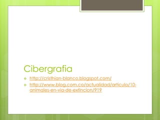 Cibergrafia 
 http://cristhian-blanco.blogspot.com/ 
 http://www.blog.com.co/actualidad/articulo/10- 
animales-en-via-de-extincion/919 
