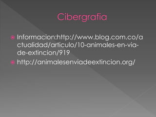  Informacion:http://www.blog.com.co/a 
ctualidad/articulo/10-animales-en-via-de- 
extincion/919 
 http://animalesenviadeextincion.org/ 
