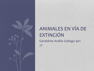 ANIMALES EN VÍA DE 
EXTINCIÓN 
Geraldine Ardila Gallego 901 
JT 
 