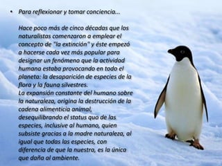 • Para reflexionar y tomar conciencia...
Hace poco más de cinco décadas que los
naturalistas comenzaron a emplear el
concepto de "la extinción" y éste empezó
a hacerse cada vez más popular para
designar un fenómeno que la actividad
humana estaba provocando en todo el
planeta: la desaparición de especies de la
flora y la fauna silvestres.
La expansión constante del humano sobre
la naturaleza, origina la destrucción de la
cadena alimenticia animal,
desequilibrando el status quo de las
especies, inclusive al humano, quien
subsiste gracias a la madre naturaleza, al
igual que todas las especies, con
diferencia de que la nuestra, es la única
que daña al ambiente.

 