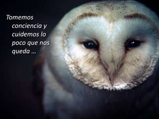 Tomemos
conciencia y
cuidemos lo
poco que nos
queda …

 