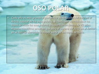 • Cada año es más grande el porcentaje de reducción del hielo en el
Ártico, hábitat de los osos polares. Si continúan derritiéndose las
capas de hielo los osos polares desaparecerán dentro de 75 años.
Algunos científicos predicen que para el verano del 2015 en el Ártico
ya se habrán derretido la mayor parte de las capas de hielo.

 