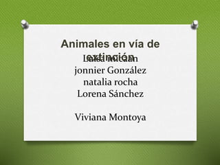 Animales en vía de 
extinción 
Luisa micaan 
jonnier González 
natalia rocha 
Lorena Sánchez 
Viviana Montoya 
 