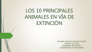 LOS 10 PRINCIPALES
ANIMALES EN VÍA DE
EXTINCIÓN
RICARDO JOSE BALLESTEROS GOMEZ
CODIGO: 12152115
INGENIERIA INDUSTRIAL
UNIVERSIDAD DE SANTANDER
 