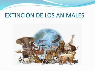 EXTINCION DE LOS ANIMALES
 