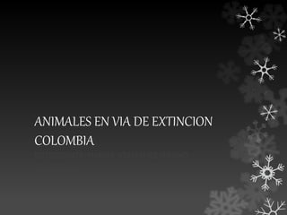 ANIMALES EN VIA DE EXTINCION 
COLOMBIA 
ESTUDIANTE:MARGY VIVIAN BEJARANO 
CURSO:901 
 