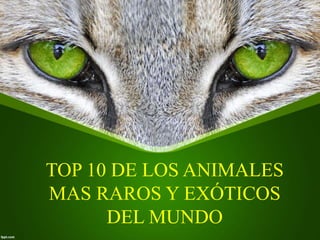 TOP 10 DE LOS ANIMALES 
MAS RAROS Y EXÓTICOS 
DEL MUNDO 
 