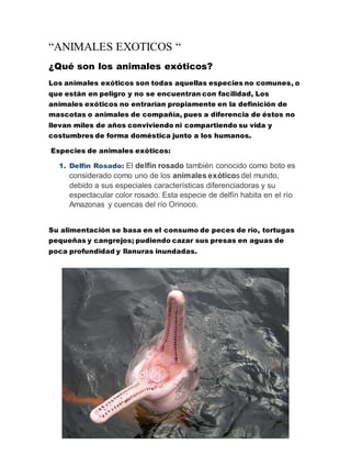 “ANIMALES EXOTICOS “
¿Qué son los animales exóticos?
Los animales exóticos son todas aquellas especies no comunes, o
que están en peligro y no se encuentran con facilidad, Los
animales exóticos no entrarían propiamente en la definición de
mascotas o animales de compañía, pues a diferencia de éstos no
llevan miles de años conviviendo ni compartiendo su vida y
costumbres de forma doméstica junto a los humanos.
Especies de animales exóticos:
1. Delfín Rosado: El delfín rosado también conocido como boto es
considerado como uno de los animales exóticos del mundo,
debido a sus especiales características diferenciadoras y su
espectacular color rosado. Esta especie de delfín habita en el río
Amazonas y cuencas del río Orinoco.
Su alimentación se basa en el consumo de peces de río, tortugas
pequeñas y cangrejos; pudiendo cazar sus presas en aguas de
poca profundidad y llanuras inundadas.
 