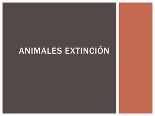 ANIMALES EXTINCIÓN
 