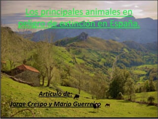 Los principales animales en
peligro de extinción en España.
Artículo de:
Jorge Crespo y Mario Guerreiro
 