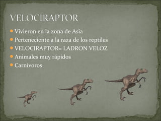 Vivieron en la zona de Asia
Perteneciente a la raza de los reptiles
VELOCIRAPTOR= LADRON VELOZ
Animales muy rápidos
Carnívoros

 