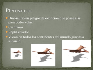 Dinosaurio en peligro de extinción que posee alas

para poder volar.
Carnívoro
Réptil volador
Vivían en todos los continentes del mundo gracias a
su vuelo.

 