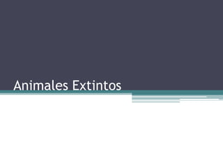 Animales Extintos
 