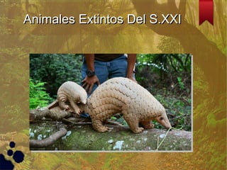 Animales Extintos Del S.XXIAnimales Extintos Del S.XXI
 