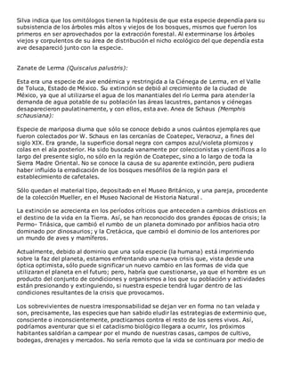 Silva indica que los ornitólogos tienen la hipótesis de que esta especie dependía para su 
subsistencia de los árboles más altos y viejos de los bosques, mismos que fueron los 
primeros en ser aprovechados por la extracción forestal. Al exterminarse los árboles 
viejos y corpulentos de su área de distribución el nicho ecológico del que dependía esta 
ave desapareció junto con la especie. 
Zanate de Lerma (Quiscalus palustris): 
Esta era una especie de ave endémica y restringida a la Ciénega de Lerma, en el Valle 
de Toluca, Estado de México. Su extinción se debió al crecimiento de la ciudad de 
México, ya que al utilizarse el agua de los manantiales del río Lerma para atender la 
demanda de agua potable de su población las áreas lacustres, pantanos y ciénegas 
desaparecieron paulatinamente, y con ellos, esta ave. Anea de Schaus (Memphis 
schausiana): 
Especie de mariposa diurna que sólo se conoce debido a unos cuántos ejemplares que 
fueron colectados por W. Schaus en las cercanías de Coatepec, Veracruz, a fines del 
siglo XIX. Era grande, la superficie dorsal negra con campos azul/violeta plomizos y 
colas en el ala posterior. Ha sido buscada vanamente por coleccionistas y cient íficos a lo 
largo del presente siglo, no sólo en la región de Coatepec, sino a lo largo de toda la 
Sierra Madre Oriental. No se conoce la causa de su aparente extinción, pero pudiera 
haber influído la erradicación de los bosques mesófilos de la región para el 
establecimiento de cafetales. 
Sólo quedan el material tipo, depositado en el Museo Británico, y una pareja, procedente 
de la colección Mueller, en el Museo Nacional de Historia Natural . 
La extinción se acrecienta en los períodos críticos que anteceden a cambios drásticos en 
el destino de la vida en la Tierra. Así, se han reconocido dos grandes épocas de crisis; la 
Permo- Triásica, que cambió el rumbo de un planeta dominado por anfibios hacia otro 
dominado por dinosaurios; y la Cretácica, que cambió el dominio de los anteriores por 
un mundo de aves y mamíferos. 
Actualmente, debido al dominio que una sola especie (la humana) está imprimiendo 
sobre la faz del planeta, estamos enfrentando una nueva crisis que, vista desde una 
óptica optimista, sólo puede significar un nuevo cambio en las formas de vida que 
utilizaran el planeta en el futuro; pero, habría que cuestionarse, ya que el hombre es un 
producto del conjunto de condiciones y organismos a los que su población y actividades 
están presionando y extinguiendo, si nuestra especie tendrá lugar dentro de las 
condiciones resultantes de la crisis que provocamos. 
Los sobrevivientes de nuestra irresponsabilidad se dejan ver en forma no tan velada y 
son, precisamente, las especies que han sabido eludir las estrategias de exterminio que, 
consciente o inconscientemente, practicamos contra el resto de los seres vivos. Así, 
podríamos aventurar que si el cataclismo biológico llegara a ocurrir, los próximos 
habitantes saldrían a campear por el mundo de nuestras casas, campos de cultivo, 
bodegas, drenajes y mercados. No sería remoto que la vida se continuara por medio de 
 