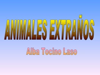 ANIMALES EXTRAÑOS Alba Tocino Laso  