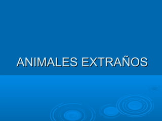 ANIMALES EXTRAÑOS
 