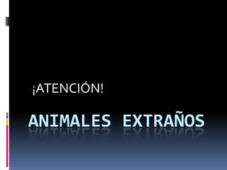 ANIMALES EXTRAÑOS
¡ATENCIÓN!
 