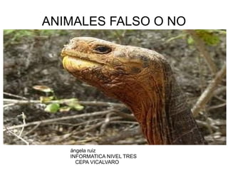 ANIMALES FALSO O NO




   ángela ruiz
   INFORMATICA NIVEL TRES
     CEPA VICALVARO
 