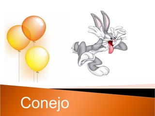 Conejo 