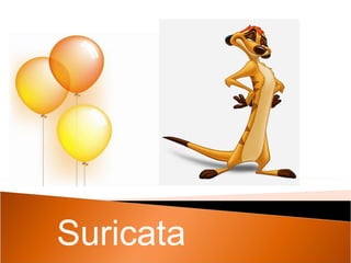 Suricata 