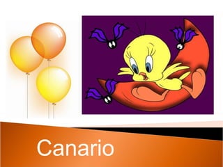 Canario 