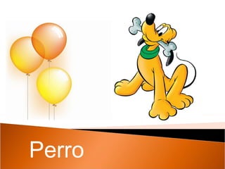 Perro 
