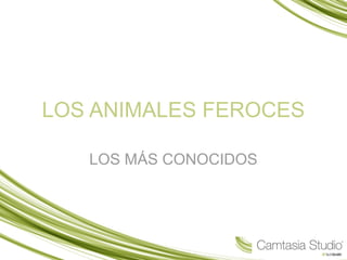 LOS ANIMALES FEROCES
LOS MÁS CONOCIDOS
 