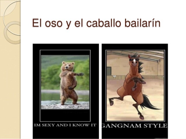 madre oso bailarín madre oso bailarín
