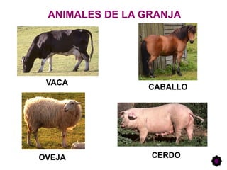 ANIMALES DE LA GRANJA
VACA
CABALLO
OVEJA CERDO