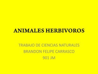TRABAJO DE CIENCIAS NATURALES
  BRANDON FELIPE CARRASCO
            901 JM
 