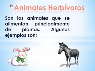 * Animales Herbívoros
Son los animales que se
alimentan principalmente
de     plantas.  Algunos
ejemplos son:
 