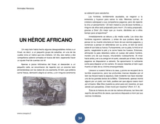 Animales Heroicos
www.conquis.cl
34
UN HÉROE AFRICANO
Un viejo león había hecho algunas desagradables visitas a un
Kraal, es decir, a un pequeño grupo de cabañas, en una de las
cuales vivía un nativo que era cristiano. Un día, ese nativo y dos
compañeros salieron armados en busca del león, esperando hacer
un ajuste final de cuentas con él.
Apenas a pocos kilómetros del Kraal, al descender a un
pequeño valle, se encontraron de repente con un enorme león
alimentándose con los restos de una osamenta. El león, que prefería
carne fresca, demostró alegría al verlos, y sin ninguna ceremonia
se adelantó para saludarlos.
Los hombres, terriblemente asustados, se negaron a la
entrevista y huyeron para salvar la vida. Mientras corrían, el
cristiano sobrepasó a sus compañeros paganos; pero de repente
le vino un pensamiento: "¡El león matará a uno de esos hombres, y
ninguno de ellos está preparado para morir! ¡Yo estoy preparado,
gracias a Dios! ¡Es mejor que yo muera, dándoles así a ellos
tiempo para arrepentirse!"
Inmediatamente se detuvo y dio media vuelta. Los otros dos
hombres siguieron adelante, y antes de que pudiera dejar de
pensar en su muerte voluntaria en favor de sus vecinos paganos, y
comenzar a pensar en defenderse con su arma, el león se lanzó
sobre él con toda su fuerza. Furiosamente, con su pata, lo hirió en el
pecho, rasgándole la piel y la carne hasta los huesos. Entonces,
afirmando la pata delantera sobre el cuerpo del pobre hombre,
mordió uno de sus brazos, triturándolo ruidosamente. Al mirar
hacia atrás y ver a su amigo en el suelo, atacado por el león, los dos
paganos se dispusieron a salvarlo. Se aproximaron lo suficiente
como para disparar un tiro certero. En pocos instantes el león cayó
muerto al lado de su víctima ensangrentada.
Llevaron a nuestro héroe a la casa, y pronto se recuperó de la
terrible experiencia, pero las profundas marcas dejadas por el
león las llevará hasta la sepultura. Este incidente nos hace recordar
uno de los grandes textos de la Biblia: "Ciertamente, apenas morirá
alguno por un justo; con todo, pudiera ser que alguno osara morir
por el bueno. Mas Dios muestra su amor para con nosotros, en que
siendo aún pecadores, Cristo murió por nosotros" (Rom. 5:7, 8).
Ésta es la historia de uno de los nativos africanos, tan lleno del
espíritu de sacrificio de Jesús, que estuvo dispuesto a morir por sus
vecinos incrédulos.
 