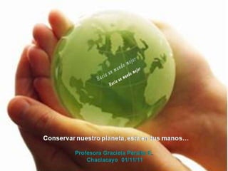 Animales increíbles.